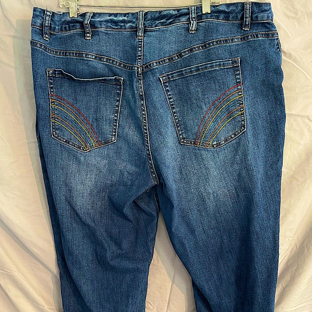 Rainbow Embroidered Jeans (Lane Bryant sz24)